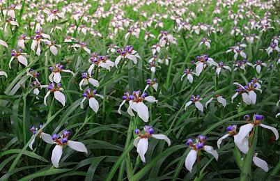 《地狱之刃2》售前直播探讨精神病女主经历